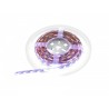 EUROLITE LED Strip 300 5m RGBWW 24V - Taśma LED