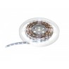 EUROLITE LED Strip 600 5m 3528 2700+5700K 24V - Taśma LED