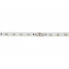 EUROLITE LED Strip 600 5m 3528 2700+5700K 24V - Taśma LED
