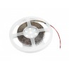 EUROLITE LED Strip 300 5m 3528 2700K 12V - Taśma LED