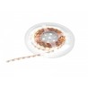 EUROLITE LED Strip 300 5m 3528 3000K 24V Constant Current - Taśma LED