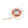EUROLITE LED Strip 600 5m 2835 1800+5700K 24V - Taśmy LED