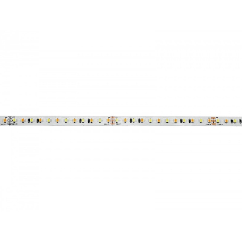 EUROLITE LED Strip 600 5m 2835 1800+5700K 24V - Taśmy LED