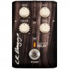 L.R.Baggs Align Delay Efekt Gitarowy