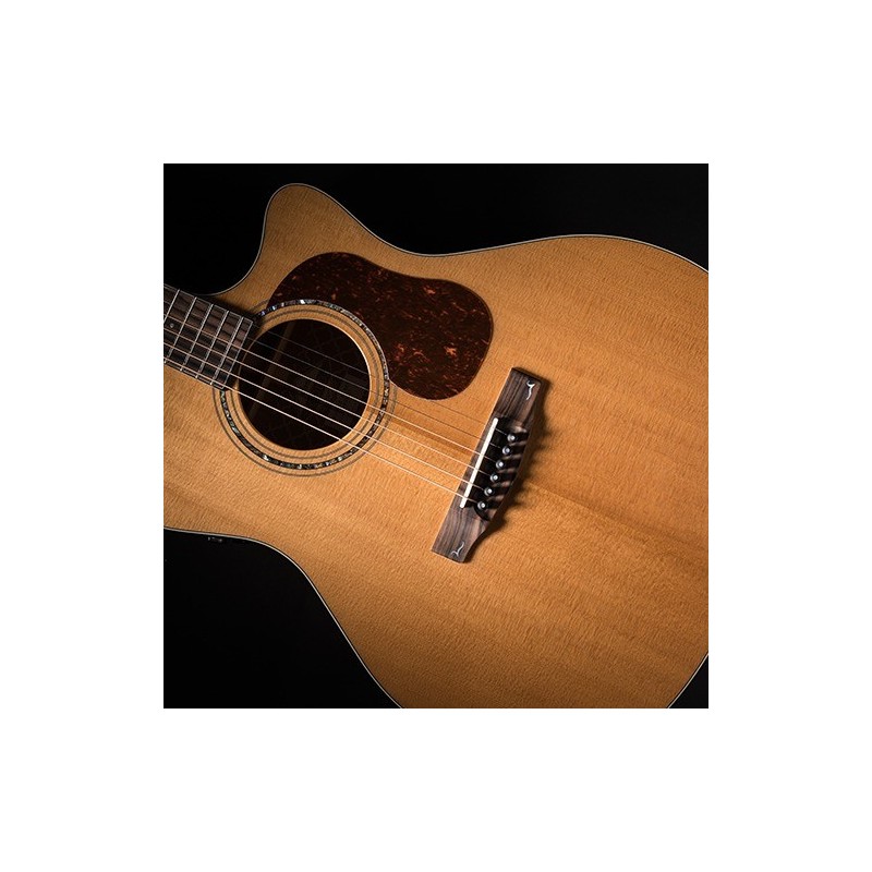 Cort Gold A6 - Gitara e-akustyczna