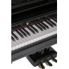 Orla Grand 120 BK - Pianino Cyfrowe