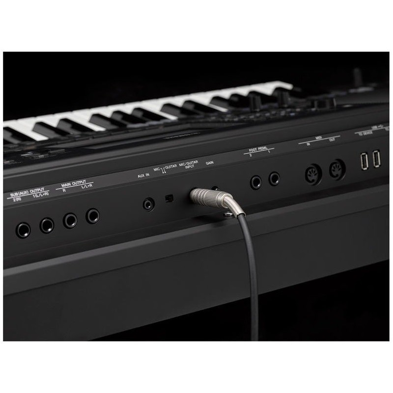 Yamaha PSR-SX900 outputs