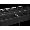 Yamaha PSR-SX900 outputs
