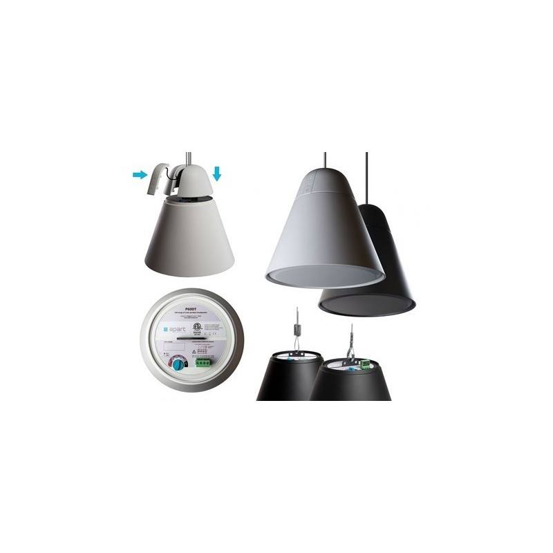 Apart P60DT-W - głośnik instalacyjny, wiszący