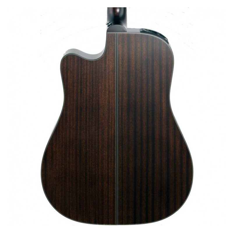 TAKAMINE P1DC-SM - back