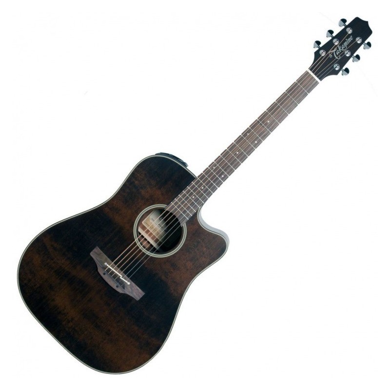 TAKAMINE P1DC-SM acoustic