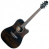 TAKAMINE P1DC-SM acoustic