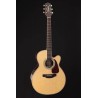 TAKAMINE GN90CE-ZC - top