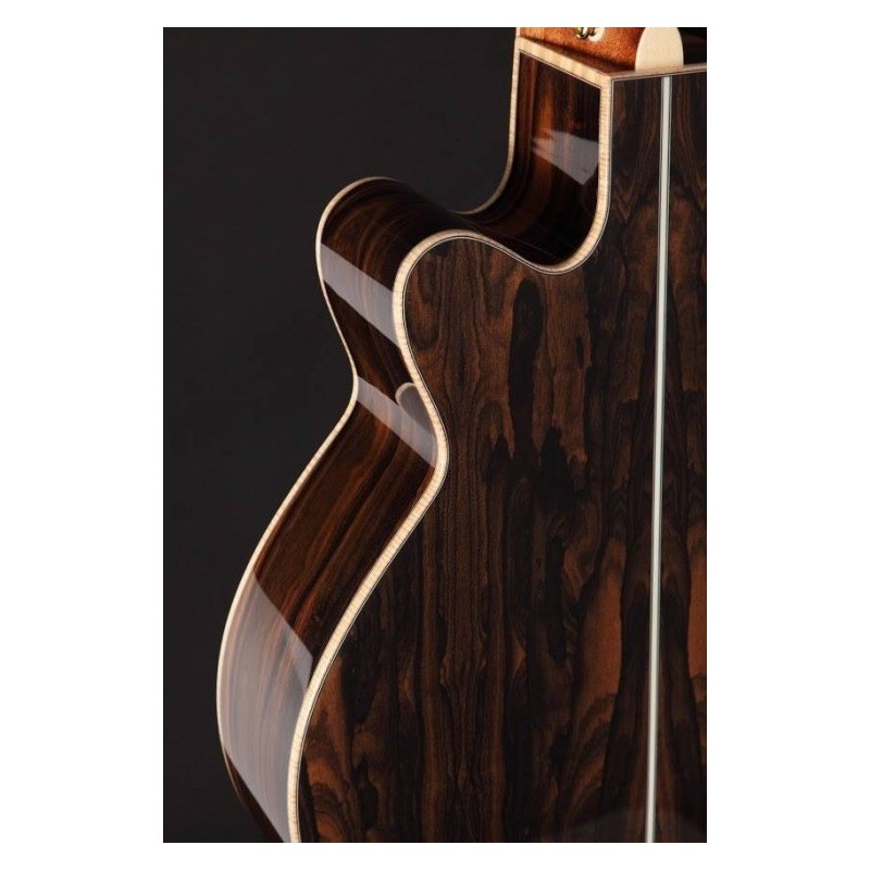 TAKAMINE GN90CE-ZC - zoom back