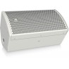 Turbosound NuQ62-WH -  like monitor