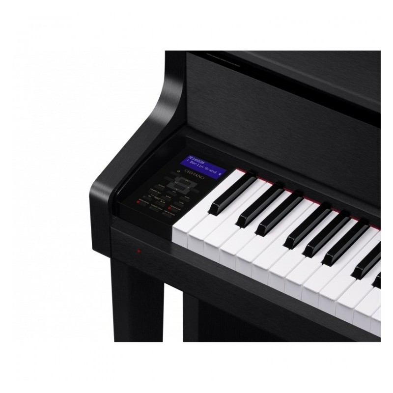 Casio GP-310 BK - panel