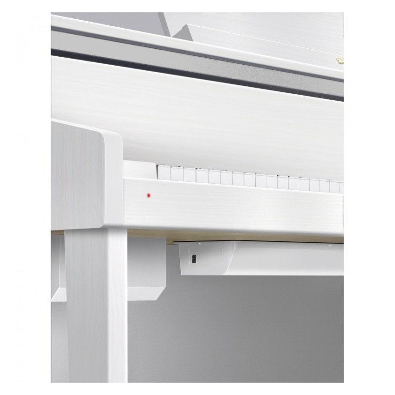 Casio GP-310 WE - view 1