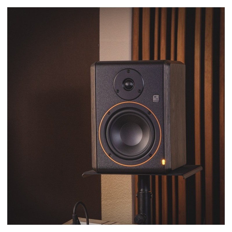 Palmer STUDIMON 5 - monitor studyjny
