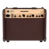 Fishman Loudbox Artist Bluetooth - back