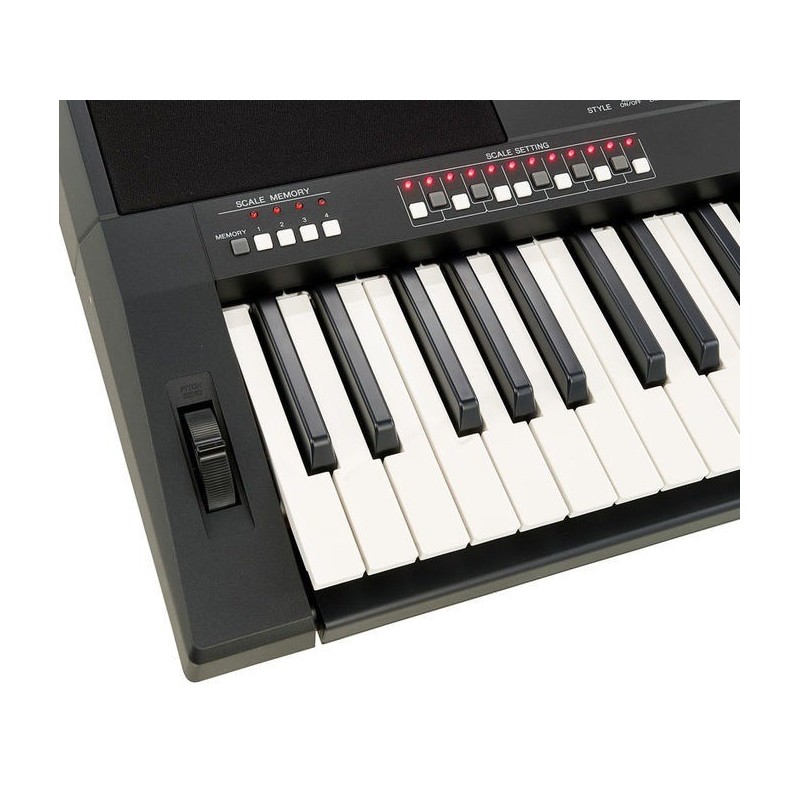 Yamaha PSR-A350 Oriental - pitch