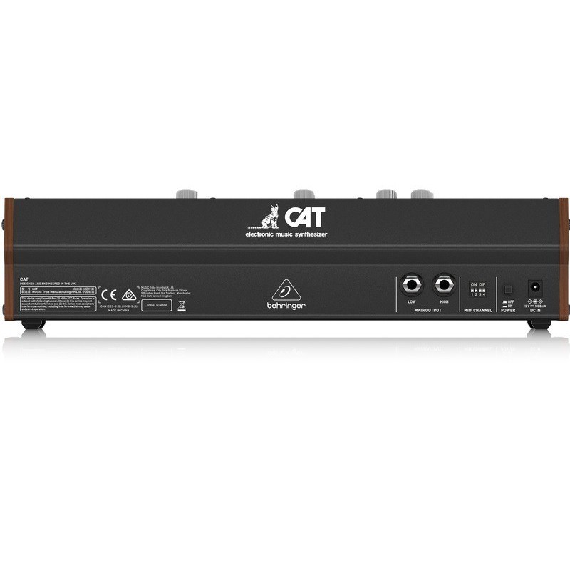 Behringer CAT - back