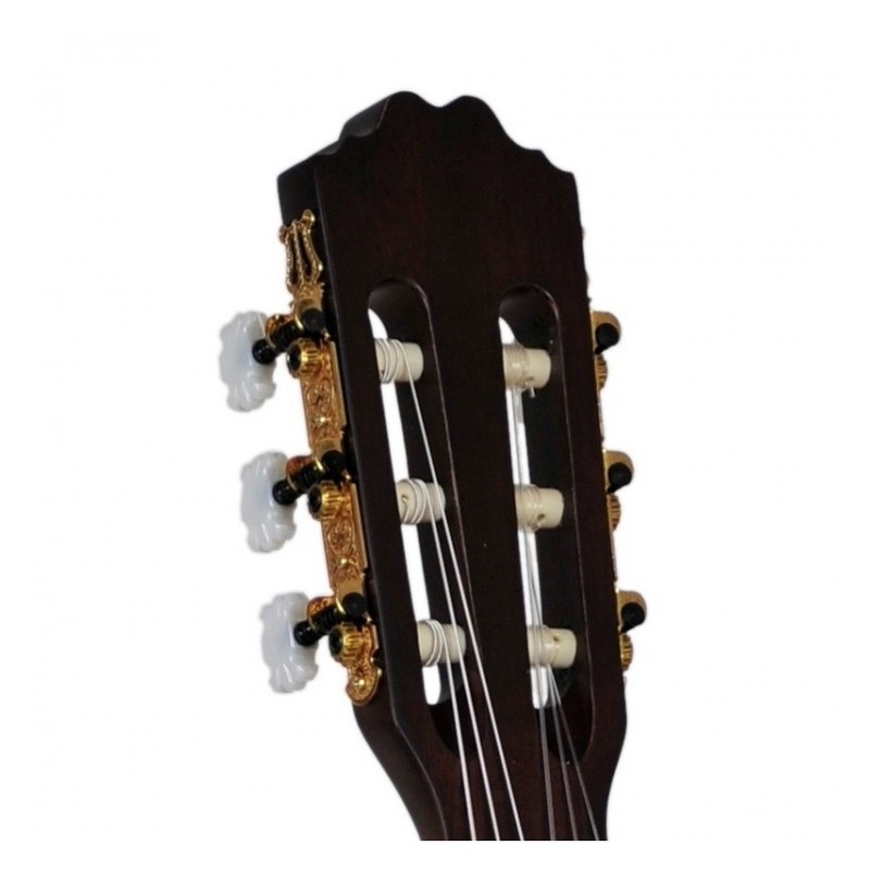 ArsNova 1 Solid Cedar - gitara klasyczna 4sls4