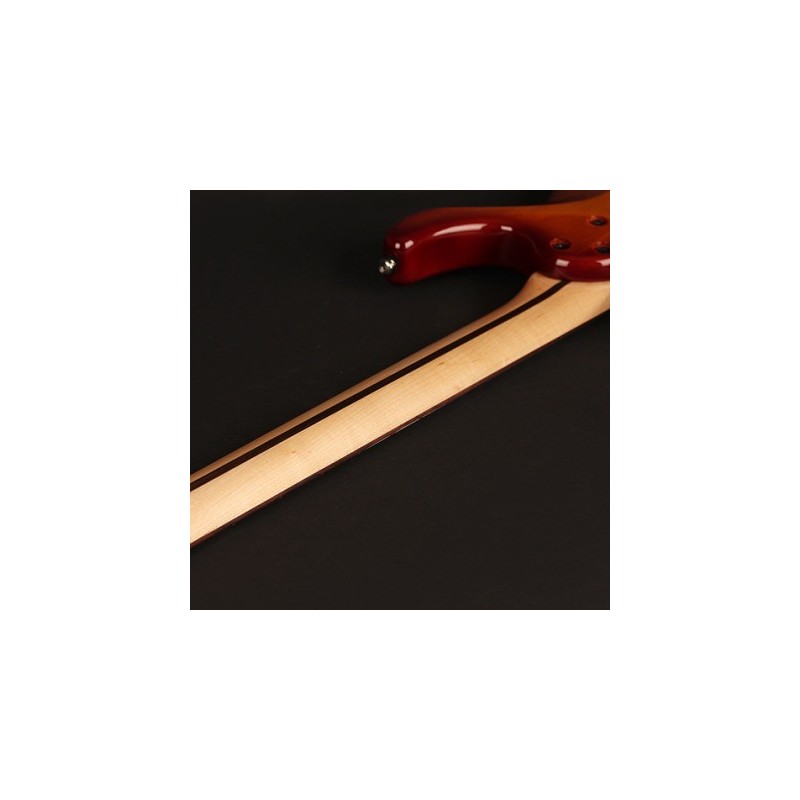 Cort G250 TAB - gitara elektryczna