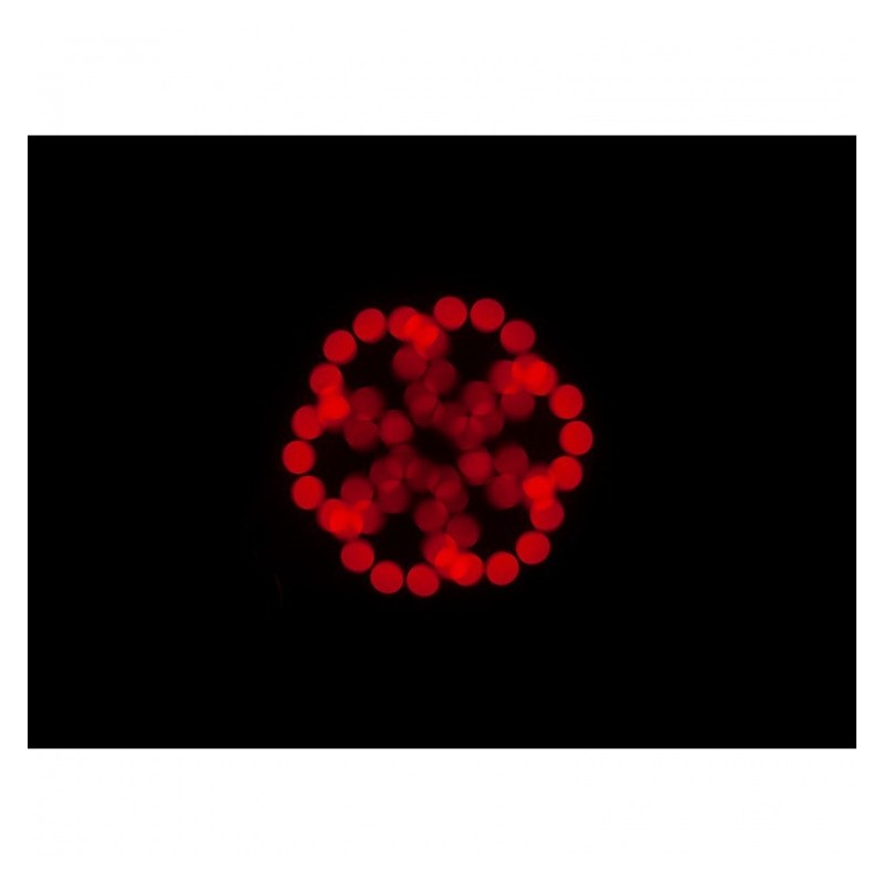 American Dj Focus Spot 5Z - głowa ruchoma