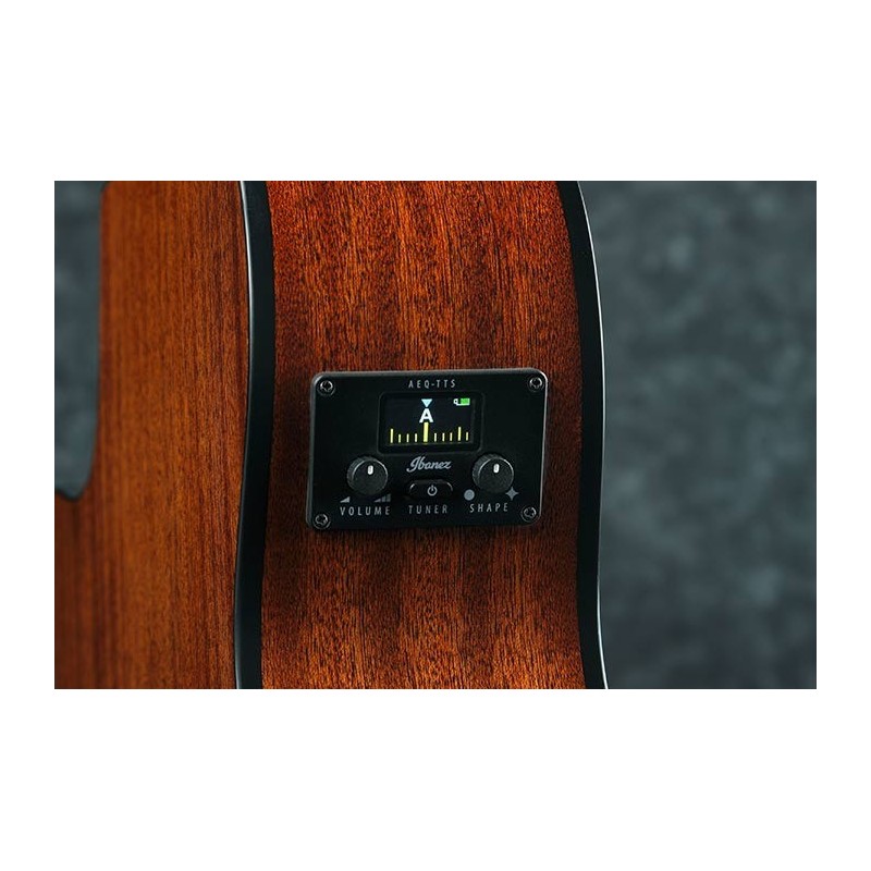 Ibanez AEG50 DHH - Gitara elektro-akustyczna