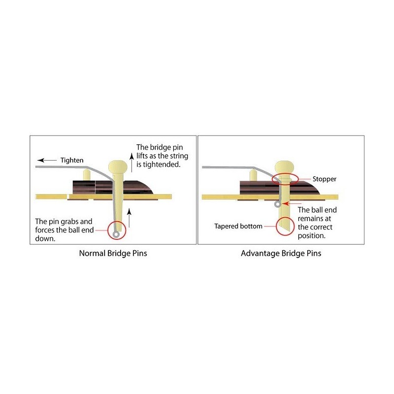 Ibanez AEG50 IBH - Gitara elektro-akustyczna