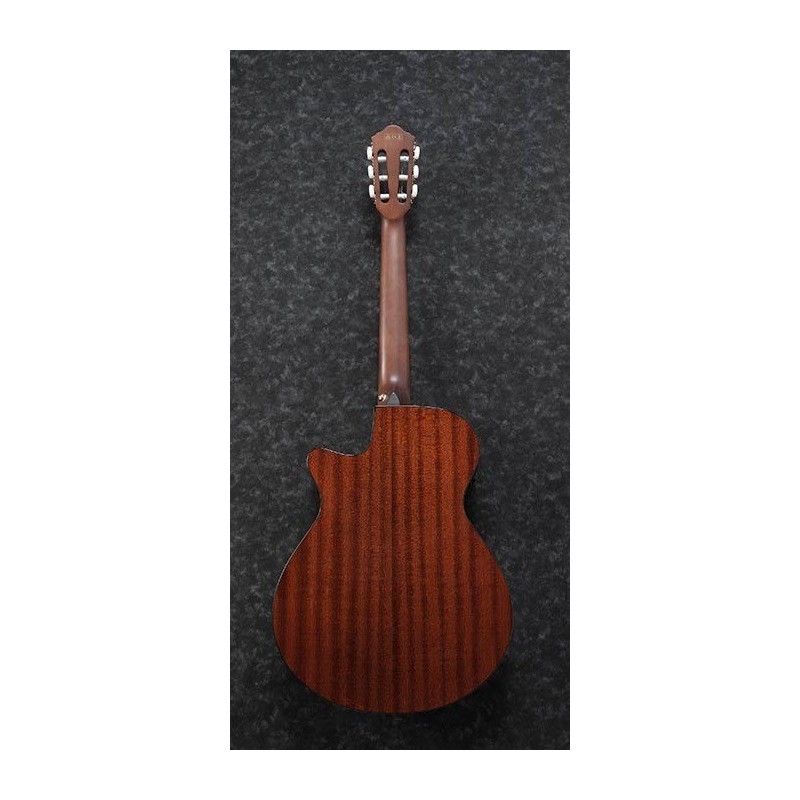 Ibanez AEG50N NT - Gitara elektro-akustyczna