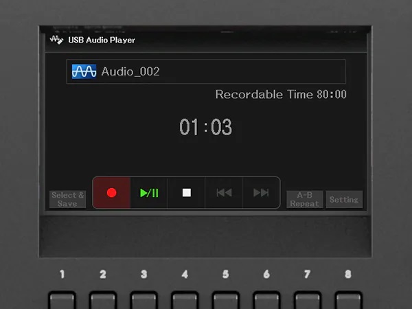 Odtwarzanie i nagrywanie plików audio