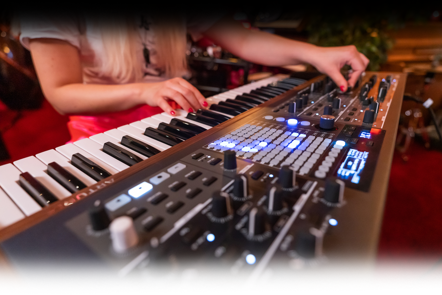 Polybrute zbliżenie