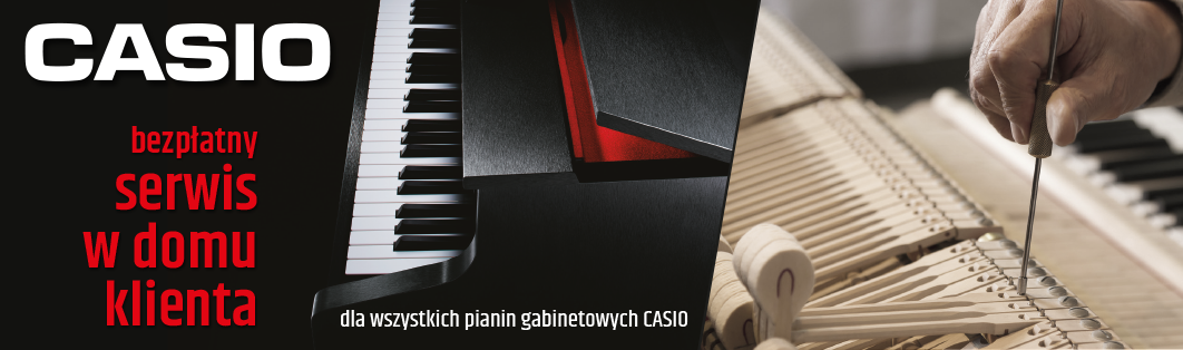 Bezpłatny serwis w domu klienta