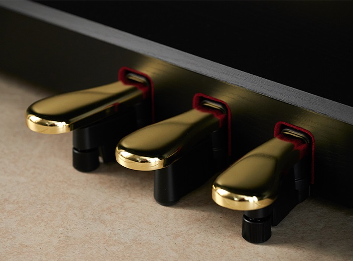 Casio CELVIANO AP-550 Odblokowywanie ekspresyjnych możliwości od podstaw