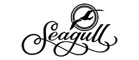 Seagull